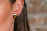 Torc Earrings